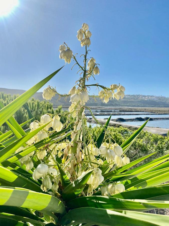Herdade D' Amoreira Алжезур Екстериор снимка